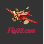 FLY33.COM