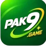 pak9 game