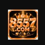 8557.com